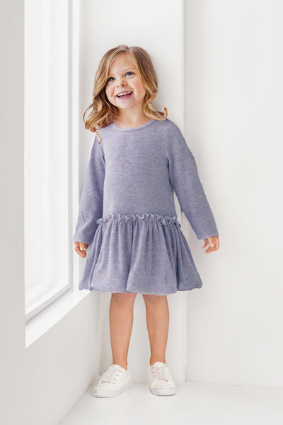 Sweater Heather Drop Waist Dress