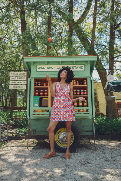 The Dorothy Dress - Plaid Daisy