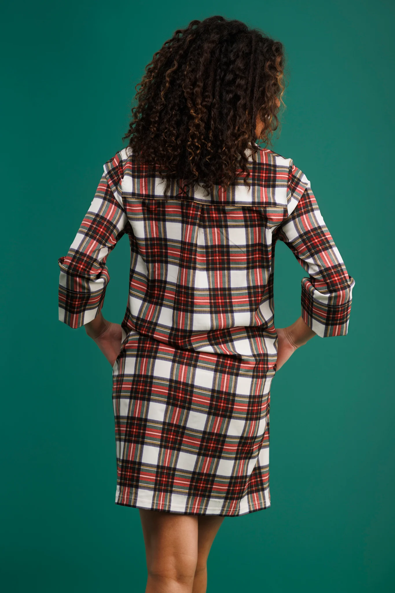 The Sophia Dress - Winter Tartan